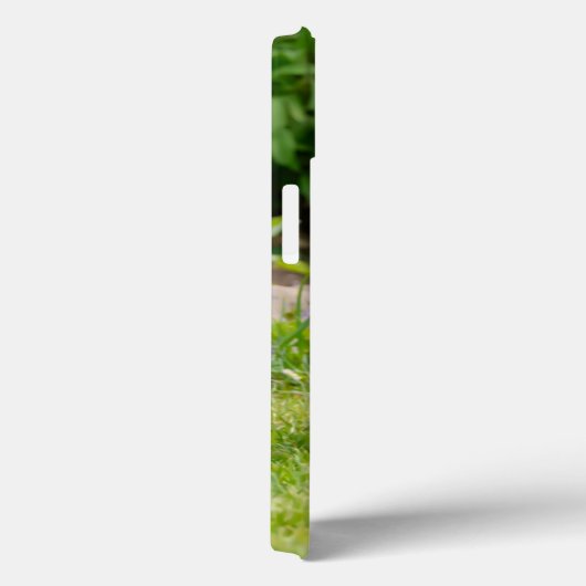 Niedliche lustige Boston Terrier Hunde spielen - Case-Mate iPhone Hülle (Rückseite / Rechts)