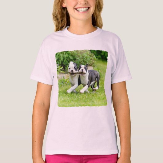 Niedliche lustige Boston Terrier Hunde spielen - T-Shirt (Vorderseite)