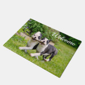 Niedliche lustige Boston Terrier Hunde Welpen spie Fußmatte (Schrägansicht)