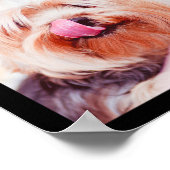 Niedliche & lustige Hunde Foto Collage Poster 1 (Ecke)