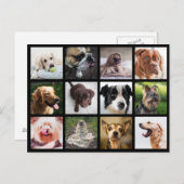 Niedliche & lustige Hunde Fotocollage Postkarte (Vorne/Hinten)