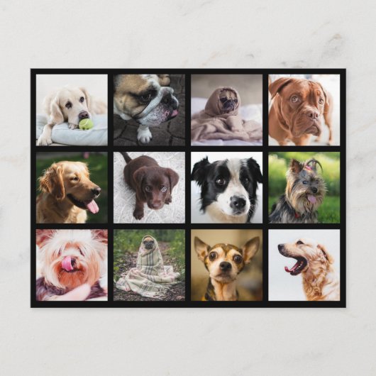 Niedliche & lustige Hunde Fotocollage Postkarte (Vorderseite)