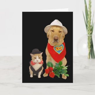Niedliche, lustige Katze & Hund/Labrador Valentine Feiertagskarte