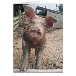 niedliche, lustige Schlammikkarte