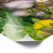 Niedliche Maine Coon Kitten Cat in einer blühenden Fotodruck (Ecke)