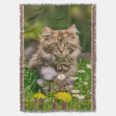 Niedliche Maine Coon Kitten Cat Sitzen in Blume Decke (Vorderseite Vertikal)