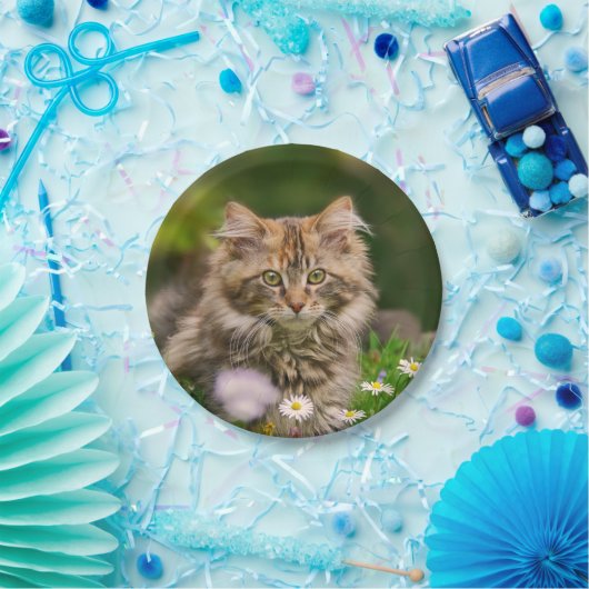 Niedliche Maine Coon Kitten Katze im Party Meadow Pappteller (Party)