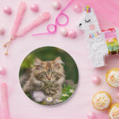 Niedliche Maine Coon Kitten Katze im Party Meadow  Pappteller (Party)