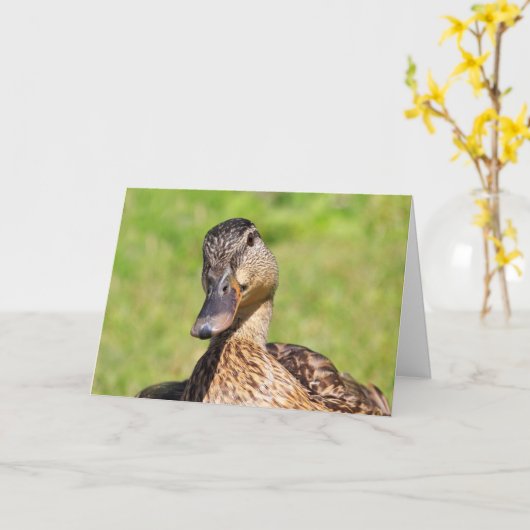 Niedliche Mallard Get Well Card Karte (Gelbe Blume)