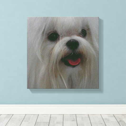 Niedliche Maltesische Leinwand (Insitu (Holzboden))