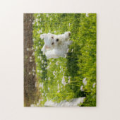 Niedliche maltesische Welpe läuft Puzzle (Vertikal)