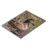 Niedliche Mama Chillin' Mallard Duck & Baby Duckli Notizblock (Linke Seite)