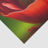 Niedliche Maus schlafen Seidenpapier (Detail)