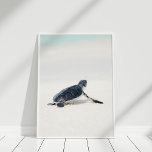 Niedliche Meeresschildkröte am Strand Poster<br><div class="desc">Dieses niedliche Baby Sea Turtle auf dem Beach Poster ist ideal für die Dekoration einer Zuhause.</div>