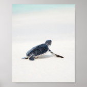 Niedliche Meeresschildkröte am Strand Poster (Vorne)