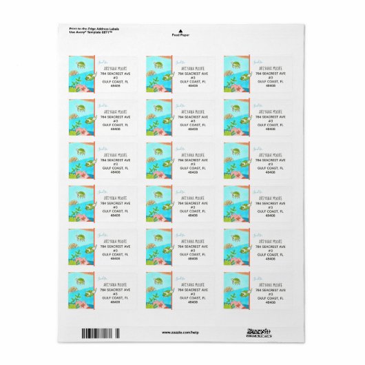 Niedliche Meeresschildkröten Adressaufkleber (Vorne)