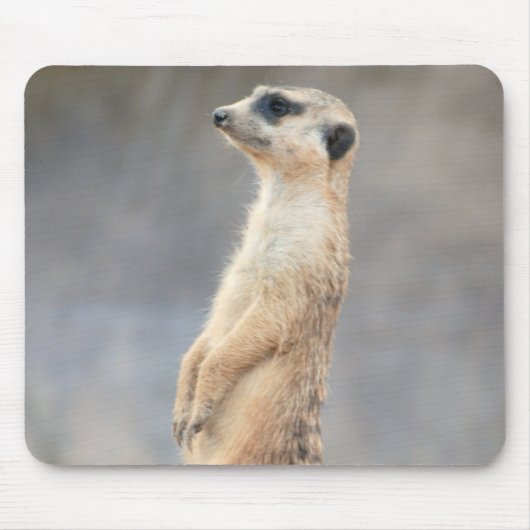 Niedliche Meerkat Mausunterlage Mousepad (Vorne)