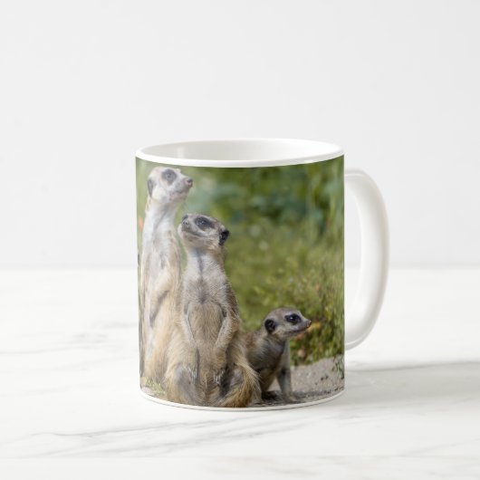 Niedliche Meerkats Kaffeetasse (VorderseiteRechts)