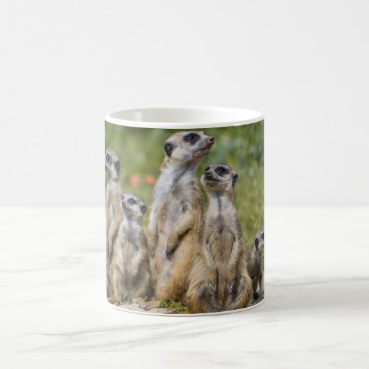 Niedliche Meerkats Kaffeetasse (Mittel)