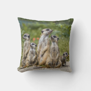 Niedliche Meerkats Kissen