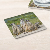 Niedliche Meerkats Rechteckiger Pappuntersetzer (angewinkelt)