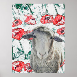 Niedliche Merino Sheep Animal Red Poppy Blume Poster