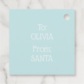 Niedliche Minze Snowy Snowflake Stars Geschenkanhänger (Rückseite)