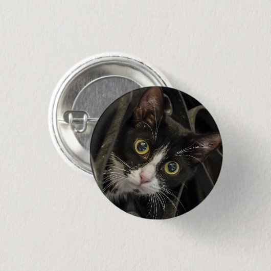 Niedliche, Mit Augen Tuxedo Katzenwand Button (Vorne & Hinten)