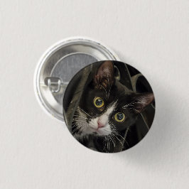Niedliche, Mit Augen Tuxedo Katzenwand Button