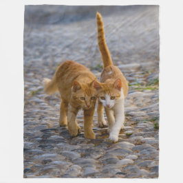 Niedliche, mitarbeitende Kätzchen laufen denselben Fleecedecke