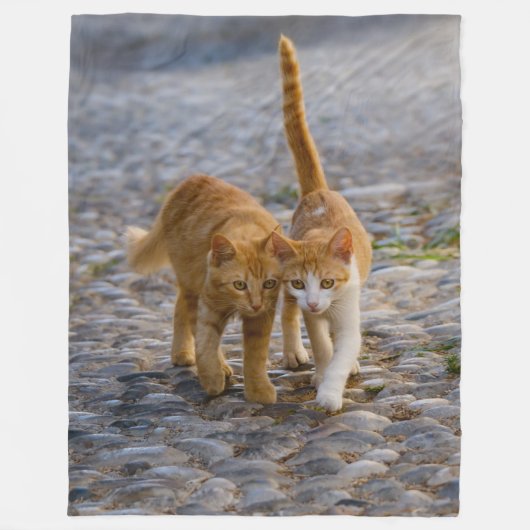 Niedliche, mitarbeitende Kätzchen laufen denselben Fleecedecke (Vorderseite)
