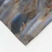 Niedliche, mitarbeitende Kätzchen laufen denselben Fleecedecke (Ecke)