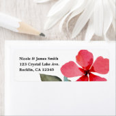 Niedliche Mohnblumen Rote Frühlingsblumen Blumenge (Insitu)