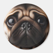 Niedliche Mops Face Mops Hunde Magnet (Vorne)