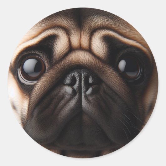 Niedliche Mops Face Mops Hunde Runder Aufkleber (Vorderseite)