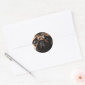 Niedliche Mops Face Mops Hunde Runder Aufkleber (Umschlag)