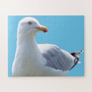 Niedliche Möwe liegt am Strand Vogel Wildtier Foto Puzzle
