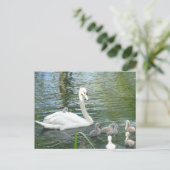 Niedliche Mutter Schwan & Babys Postkarte (Stehend Vorderseite)