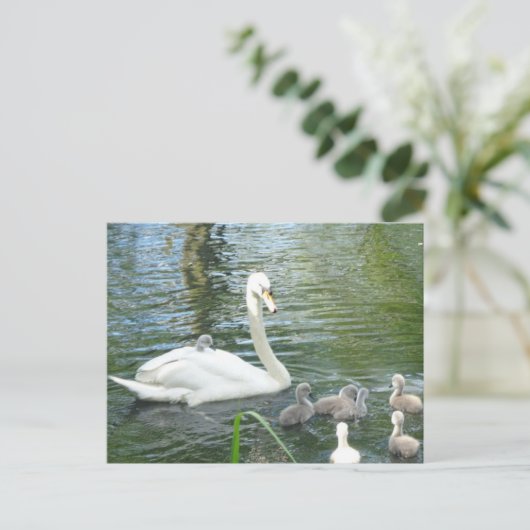 Niedliche Mutter Schwan & Babys Postkarte (Stehend Vorderseite)