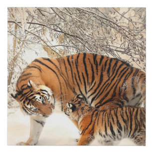 Niedliche Mutter Tiger mit Baby im Schnee Künstlicher Leinwanddruck