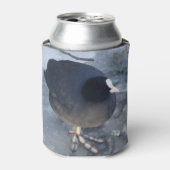 Niedliche(n) Coot(s) auf Eiskanne Cooler Dosenkühler (Kanne Vorderseite)