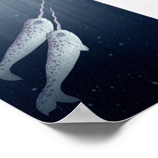 Niedliche Narwhals schwimmen unter Wasser Poster (Ecke)