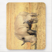 Niedliche Nashörner in Afrika Mousepad (Vorne)