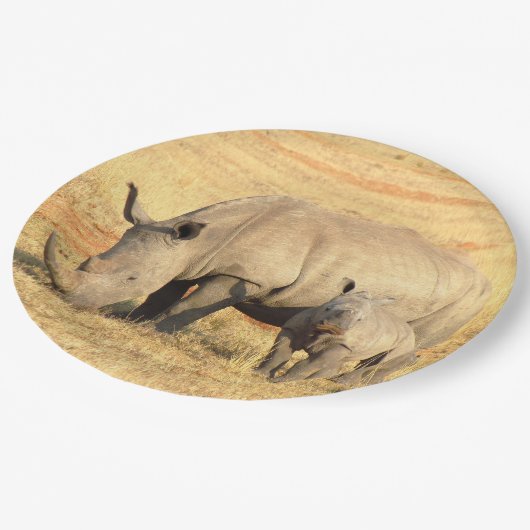 Niedliche Nashörner in Afrika Pappteller (Schrägansicht)