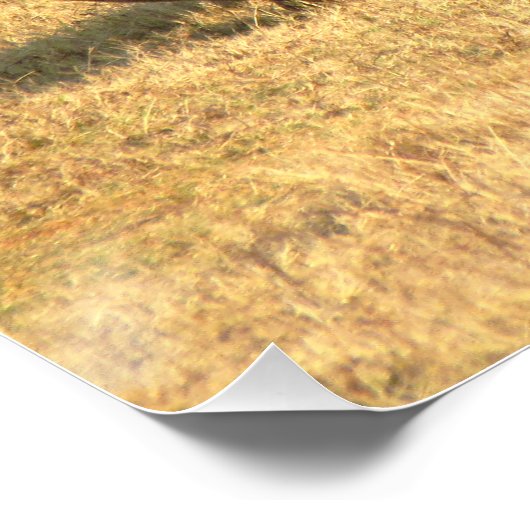 Niedliche Nashörner in Afrika Poster (Ecke)