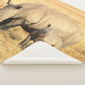 Niedliche Nashörner in Afrika Sherpadecke (3/4)