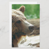 Niedliche Naturbärenaugen Briefpapier (Vorne/Hinten)