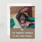 Niedliche neue Zuhause-Adressänderung Ankündigungspostkarte (Vorne/Hinten)