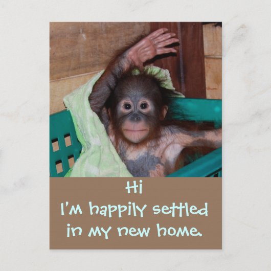 Niedliche neue Zuhause-Adressänderung Ankündigungspostkarte (Vorderseite)