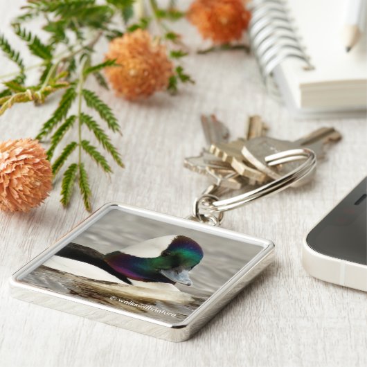 Niedliche, neugierige Bufflehead-Ente am See Schlüsselanhänger (Seite)